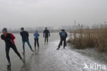 Oostvaardersplassen