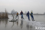 Oostvaardersplassen