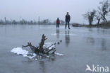 Oostvaardersplassen