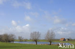 IJssel