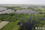 Nieuwkoopse Plassen