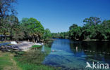 Rainbow Springs State Park