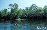 Rainbow Springs State Park