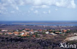 Bonaire