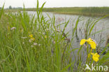 Nationaal Park Weerribben-Wieden