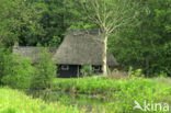 Nationaal Park Weerribben-Wieden