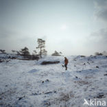 Nationaal Park Drents-Friese Wold