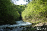 Natuurpark Rakov Skocjan