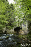 Natuurpark Rakov Skocjan