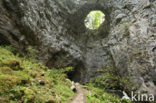 Natuurpark Rakov Skocjan