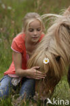 Pony (Equus spp)