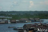 Iquitos