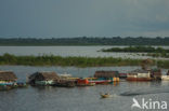 Iquitos