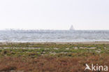 Nationaal park Schiermonnikoog