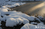 Veluwe