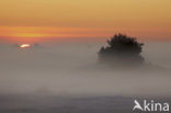 Veluwe