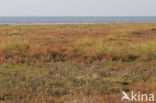 Nationaal park Schiermonnikoog