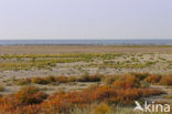 Nationaal park Schiermonnikoog