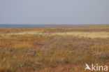 Nationaal park Schiermonnikoog