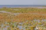 Nationaal park Schiermonnikoog