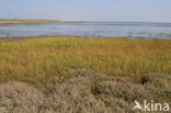 Nationaal park Schiermonnikoog