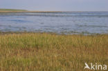 Nationaal park Schiermonnikoog