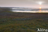 Nationaal park Schiermonnikoog