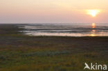 Nationaal park Schiermonnikoog