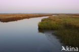 Nationaal park Schiermonnikoog