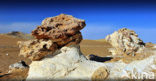 White Desert National Park