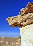 White Desert National Park