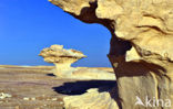 White Desert National Park