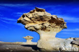 White Desert National Park