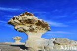 White Desert National Park