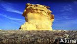 White Desert National Park