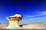 White Desert National Park