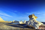 White Desert National Park