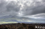 Ahihi-Kinau Natural Preserve