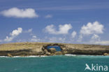 Kahuku Makahoa Point