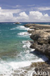 Kahuku Makahoa Point