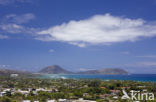 Maunalua Bay