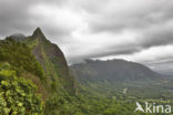 Nuuanu Pali