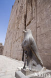 Tempel van Horus