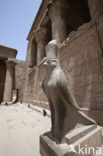 Tempel van Horus