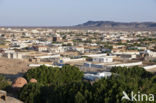 Bahariya Oase