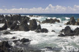 Keanae Point