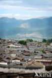 Lijiang