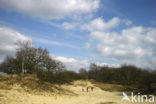 Nationaal Park Loonse en Drunense Duinen