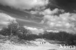 Nationaal Park Loonse en Drunense Duinen