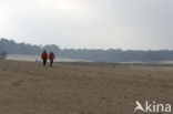 Nationaal Park Loonse en Drunense Duinen